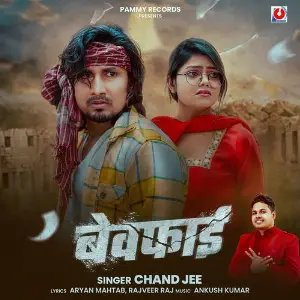 Bewafai image