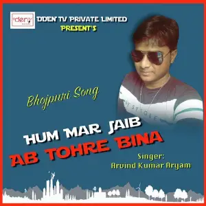 Hum Mar Jaib Ab Tohre Bina image