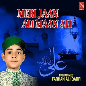 Meri Jaan Ali Maan Ali image