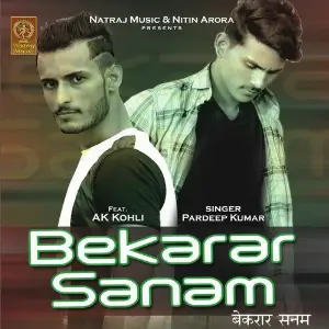 Bekarar Sanam image