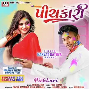 Pichkari image