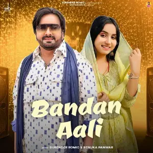 Bandan Aali image