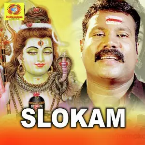 Slokam image
