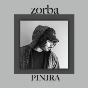 Pinjra image