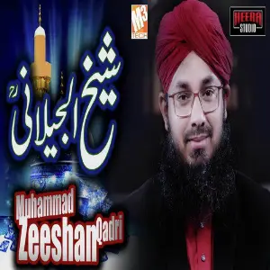 Sheikh Ul Jilani - Single image
