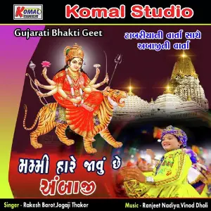 Mammy Mare Javu Chhe Ambaji image