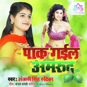 Paak Gail Amrudh image
