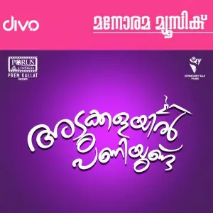 Adukkalayil Paniyundu image