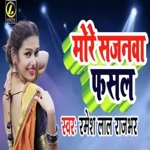 More Sajnawa Fasal image