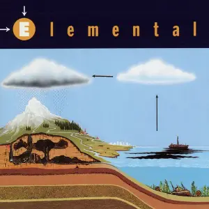 Elemental image