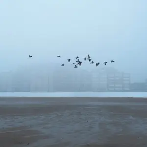 Rabba ek hai tu image