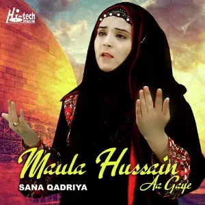 Maula Hussain Aa Gaye image