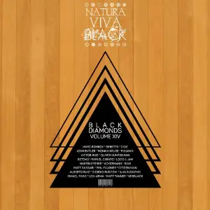 Black Diamonds, Vol. 14 image
