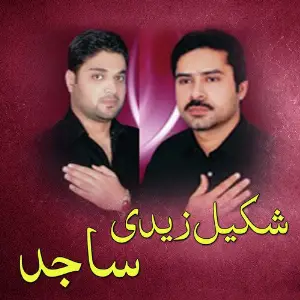 Shakeel Zaidi  Sajid image