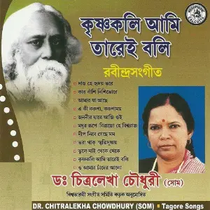 Krishnakoli Aami Tarei Boli image