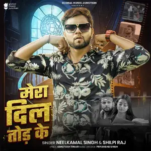Mera Dil Tod Ke image