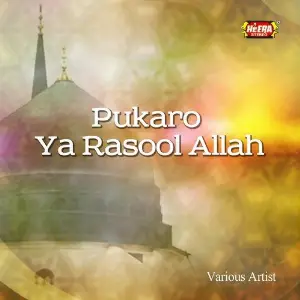 Pukaro Ya Rasool Allah image