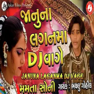 Janu Na Lagan Ma Dj Vage image