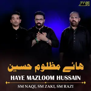 Haye Mazloom Hussain - Single image