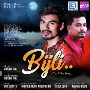 Bijli image