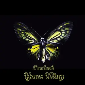 Your Wing image
