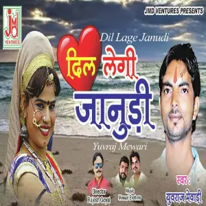 Dil Lage Janudi image