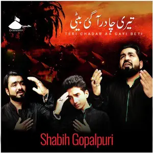 Teri Chadar Aa Gayi Beti image