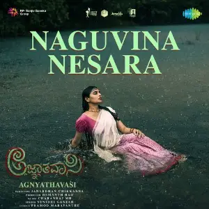 Naguvina Nesara (From Agnyathavasi) image