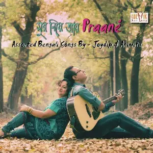 Shur Niye Aye Praane image