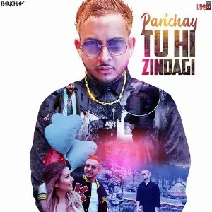 Tu Hi Zindagi - Single image