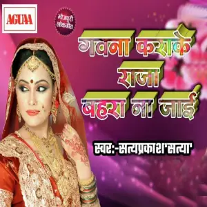 Gawna Karke Raja Bahara Na Jayi image