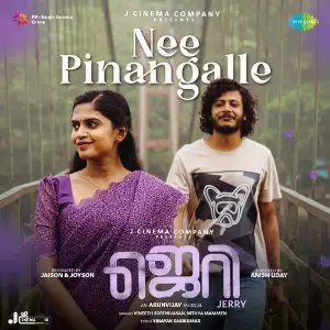 Nee Pinangalle (From Jerry) image