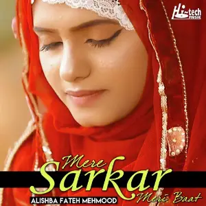 Mere Sarkar Meri Baat image