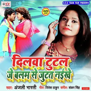 Dilwa Tutal Je Balam Se Jutat Naikhe image