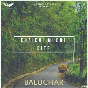 Chaichi Muche Dite image