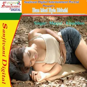 Hum Maal Hyin Bideshi image