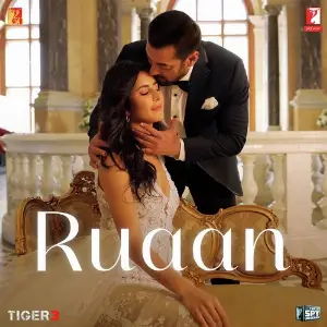 Ruaan (From Tiger 3) image