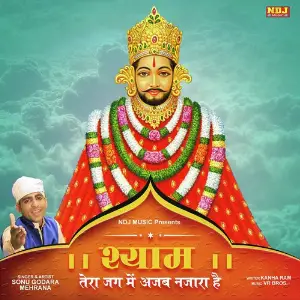 Shyam Tera Jag Me Ajab Nazara Hai image