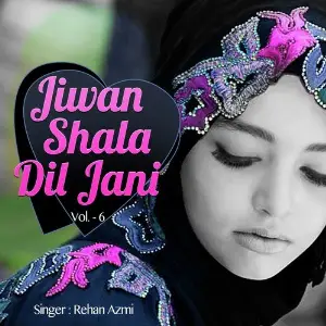 Jiwan Shala Dil Jani Vol. 06 image