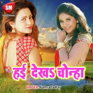 Hai Dekha Chonha image