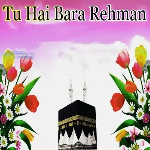 Tu Hai Bara Rehman image