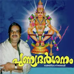 Punnya Darshanam image