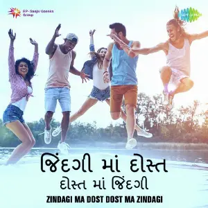 Zindagi Ma Dost Dost Ma Zindgi Various Artists