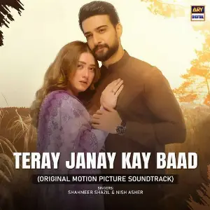 Teray Janay Kay Baad (Original Motion Picture Soundtrack) Shahmeer Shazil, Nish Asher