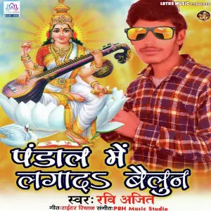 Pandaal Me Lagada Baloon image