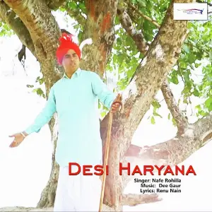 Desi Haryana image