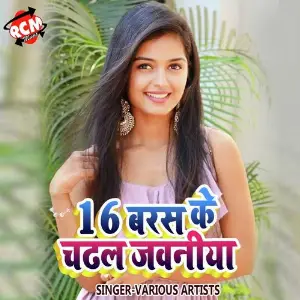 16 Baras Ke Chadhal Jawaniya image