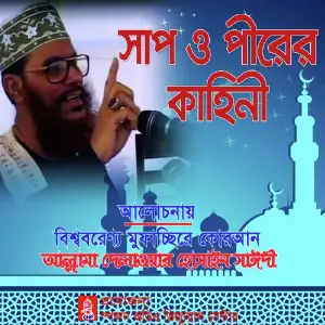 Sap O Pirer Kahini image