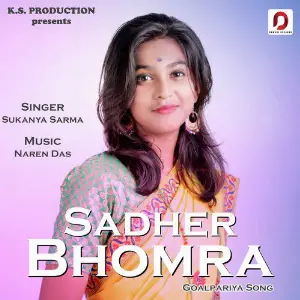 Sadher Bhomra - Single image