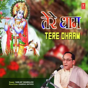 Tere Dhaam image